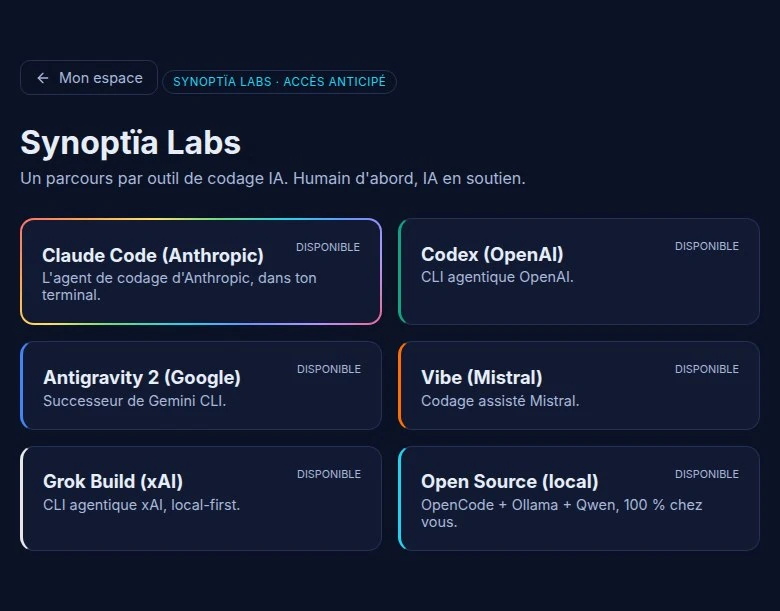 Les parcours de Synoptïa Labs